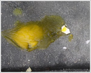 Broken Egg_6648